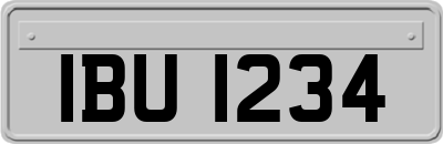 IBU1234