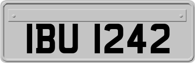 IBU1242