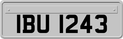 IBU1243