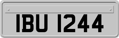 IBU1244