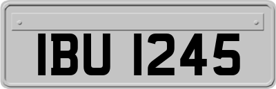 IBU1245