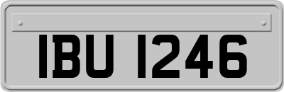 IBU1246