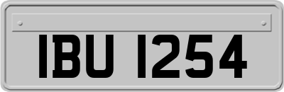 IBU1254