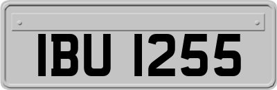 IBU1255