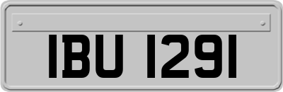 IBU1291