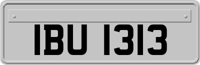 IBU1313