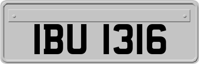IBU1316