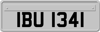 IBU1341