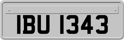 IBU1343