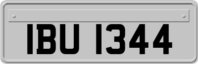IBU1344