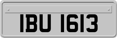 IBU1613