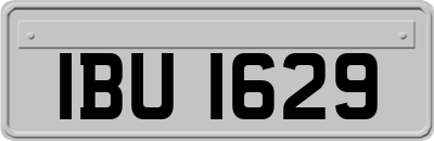 IBU1629