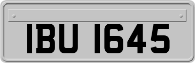 IBU1645