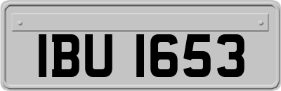 IBU1653