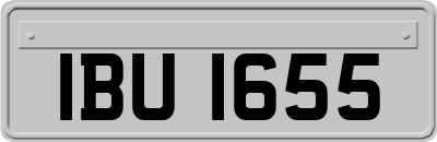 IBU1655
