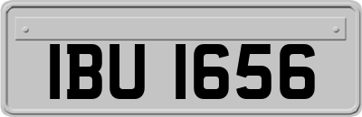 IBU1656