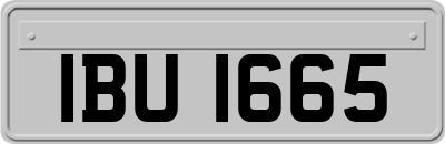 IBU1665