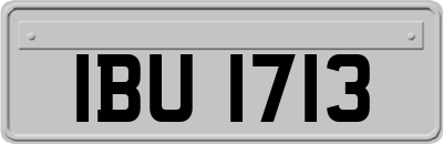 IBU1713