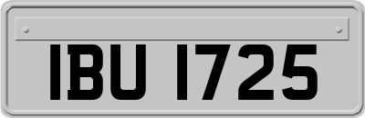 IBU1725