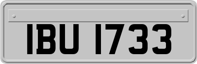 IBU1733