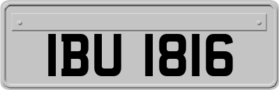 IBU1816