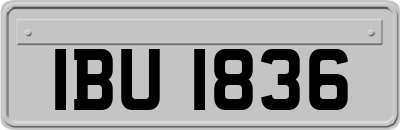IBU1836