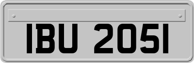 IBU2051