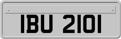 IBU2101