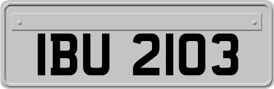 IBU2103