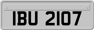 IBU2107