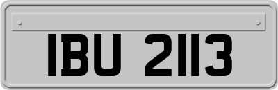 IBU2113