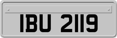 IBU2119