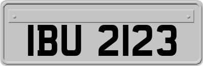 IBU2123