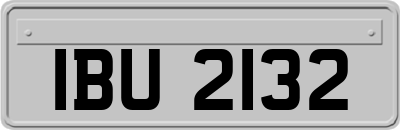 IBU2132