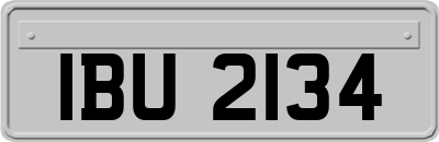 IBU2134