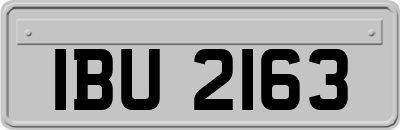IBU2163