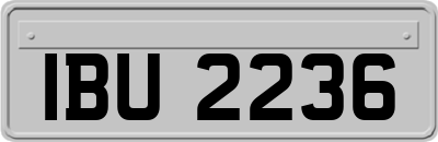 IBU2236