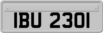 IBU2301