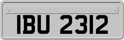 IBU2312