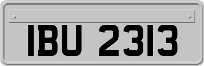 IBU2313