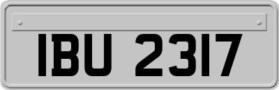 IBU2317