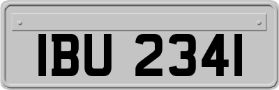 IBU2341