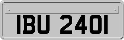 IBU2401