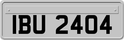 IBU2404