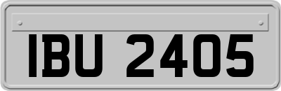 IBU2405