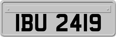 IBU2419