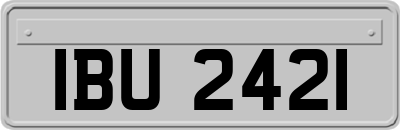 IBU2421