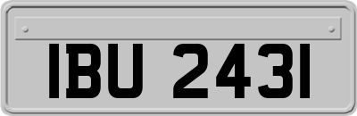 IBU2431