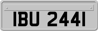 IBU2441