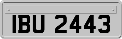 IBU2443
